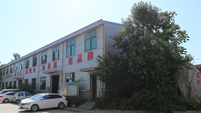 蜜桃成人网色情实验中心